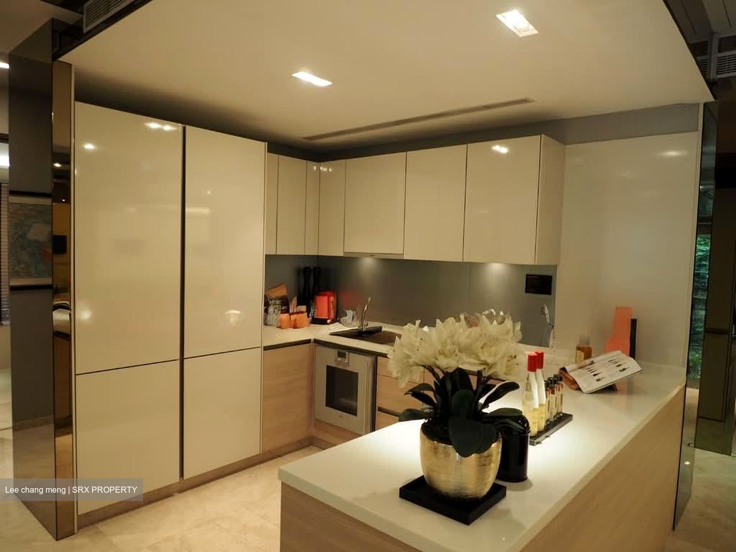 V On Shenton (D1), Apartment #557974411